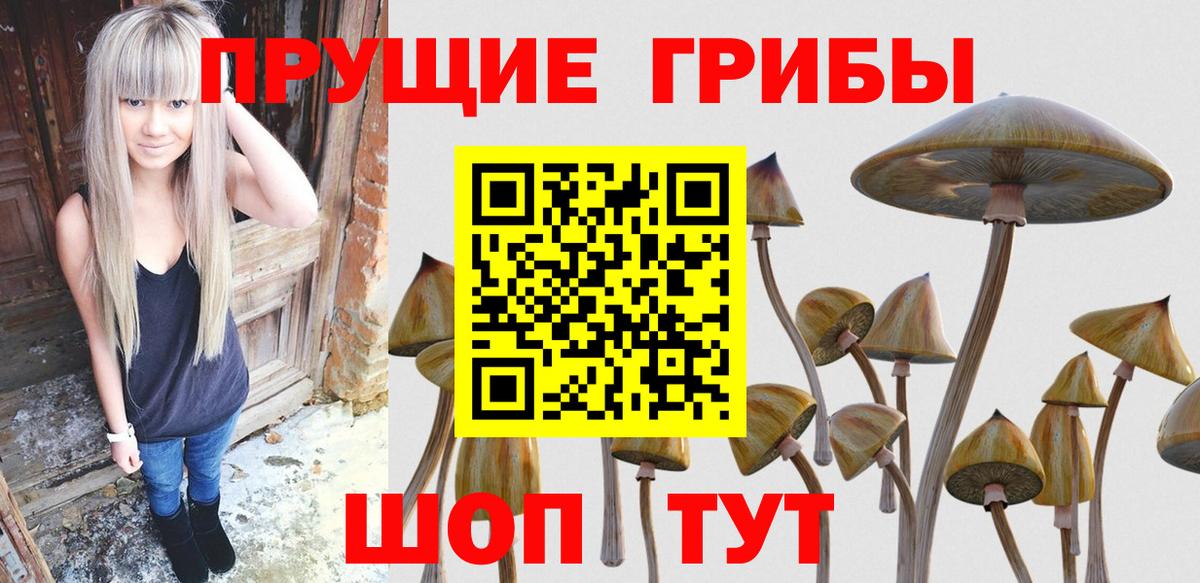Галлюциногенные грибы MAGIC MUSHROOMS  Псилоцибиновые грибы Cubensis  Екатеринбург  Вход с VPN 